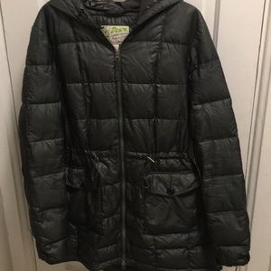 Eddie Bauer Down Quilted Winter Jacket